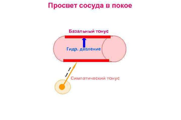 Кракен наркошоп сайт